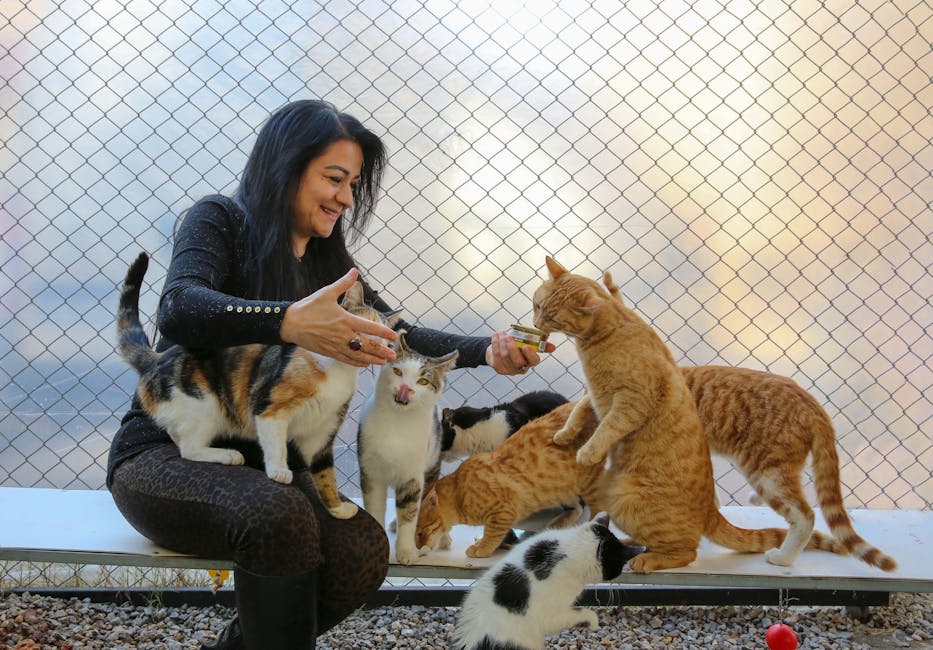 반려동물 돌봄, 강아지 고양이 상식
