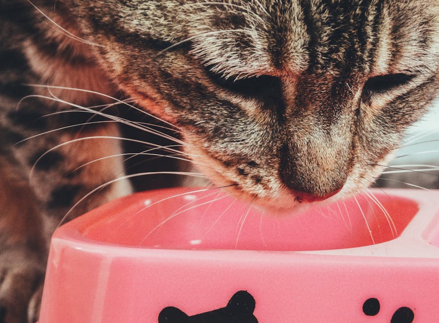 반려동물 행동 언어 해석, 강아지 고양이 위험 음식, 스마트 보호자
