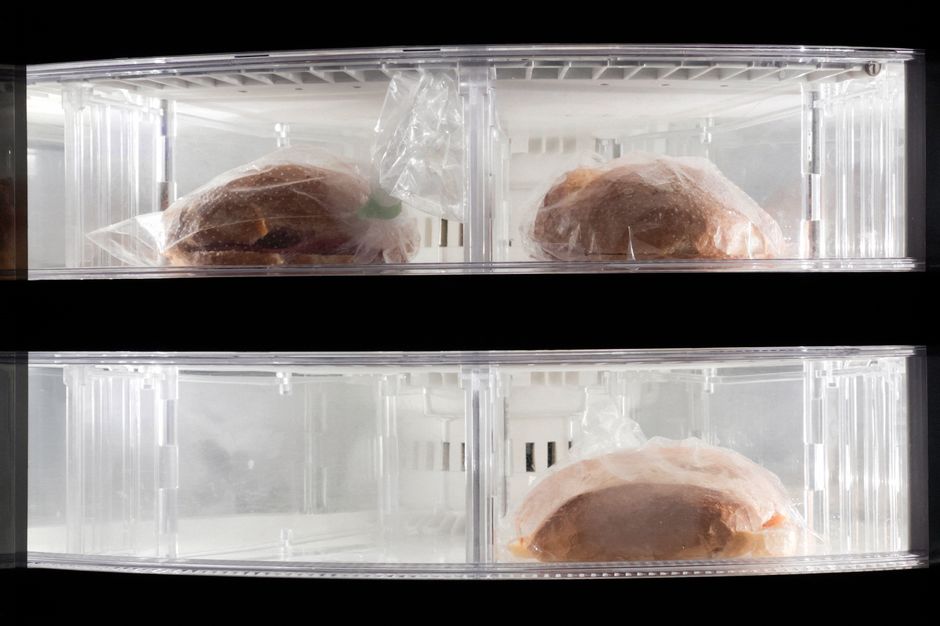 🧠 아직도 [냉동실 성에] 그냥 두시나요? 고장 없이 10분 만에 [전기세/소음] 싹 잡는 숨은 살림 꿀팁 5가지